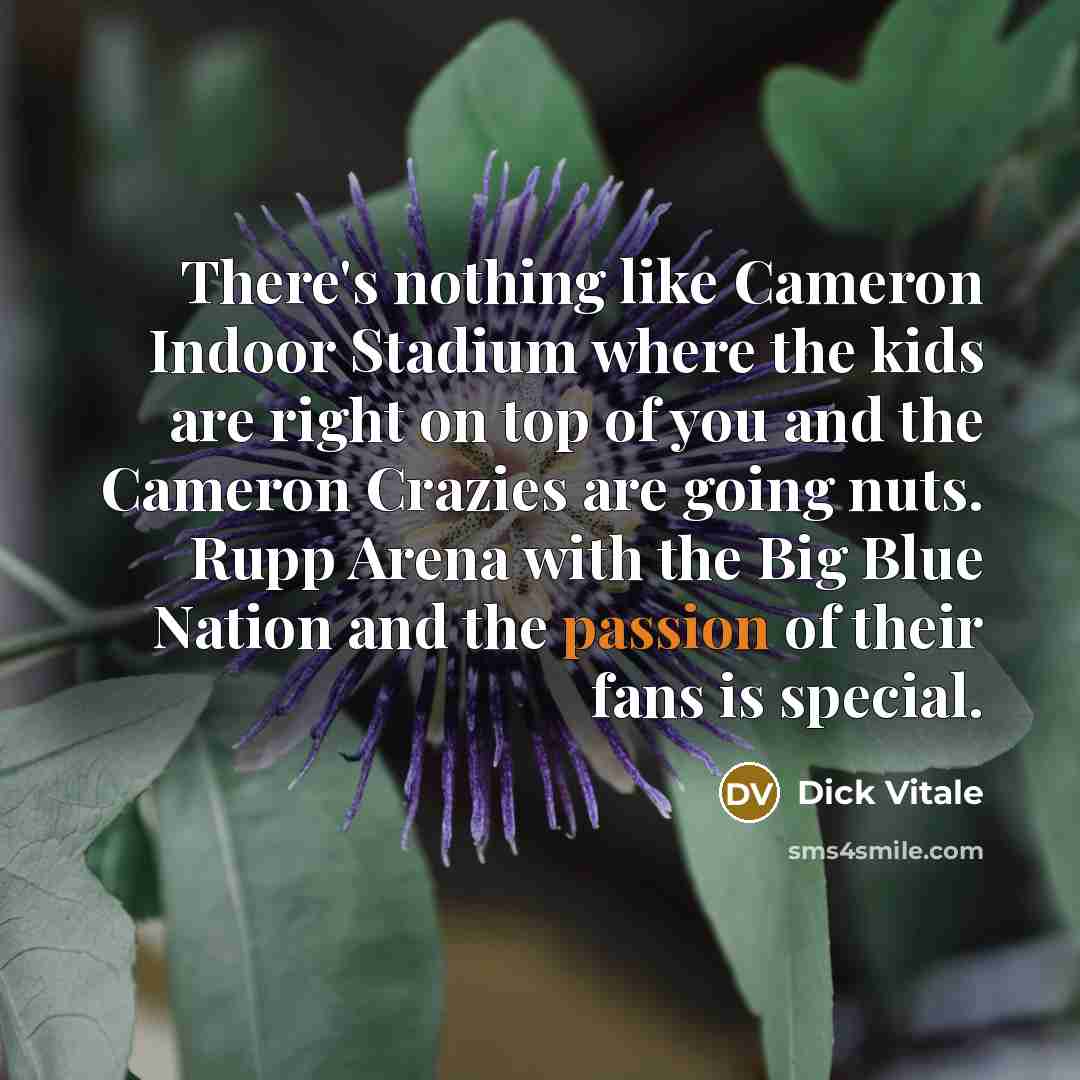 “There's nothing like Cameron Indoor Stadium where the kids are…” quote by Dick Vitale