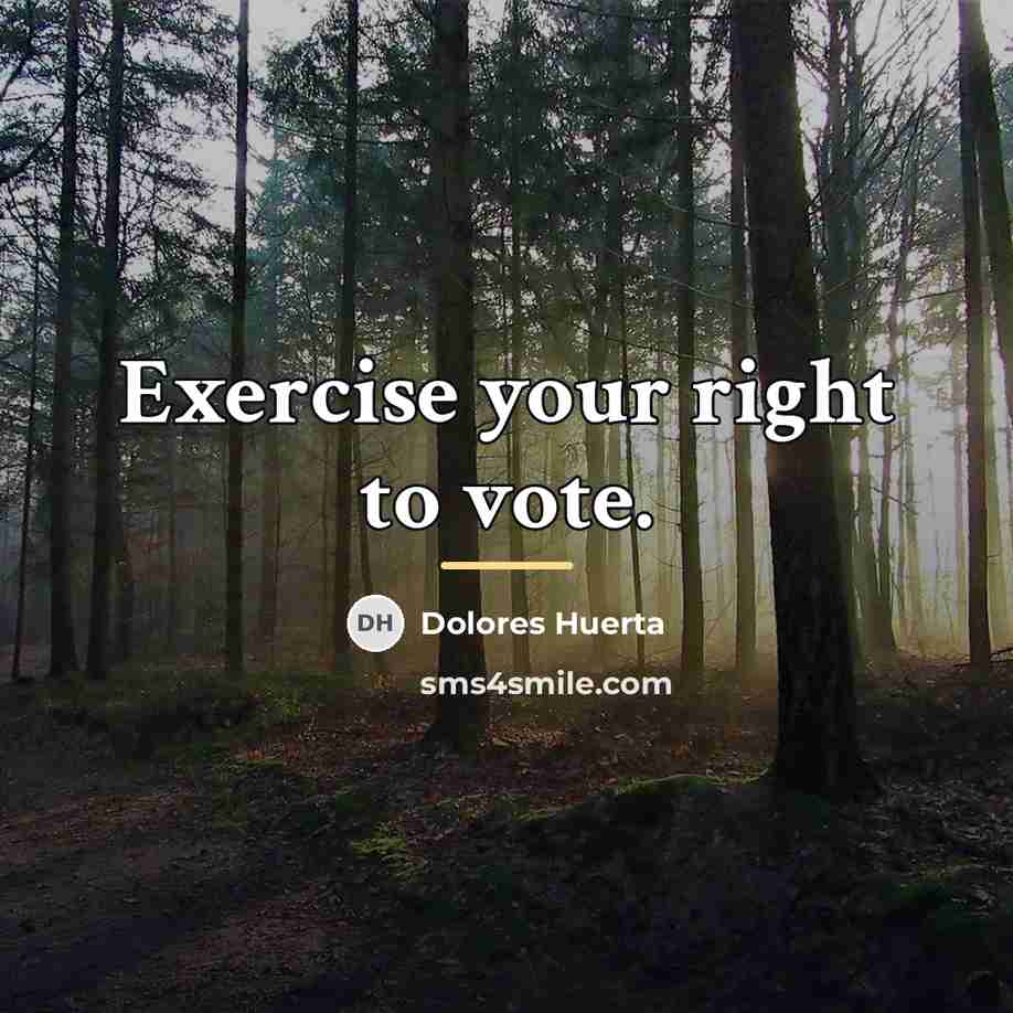 “Exercise your right to vote.…” quote by Dolores Huerta