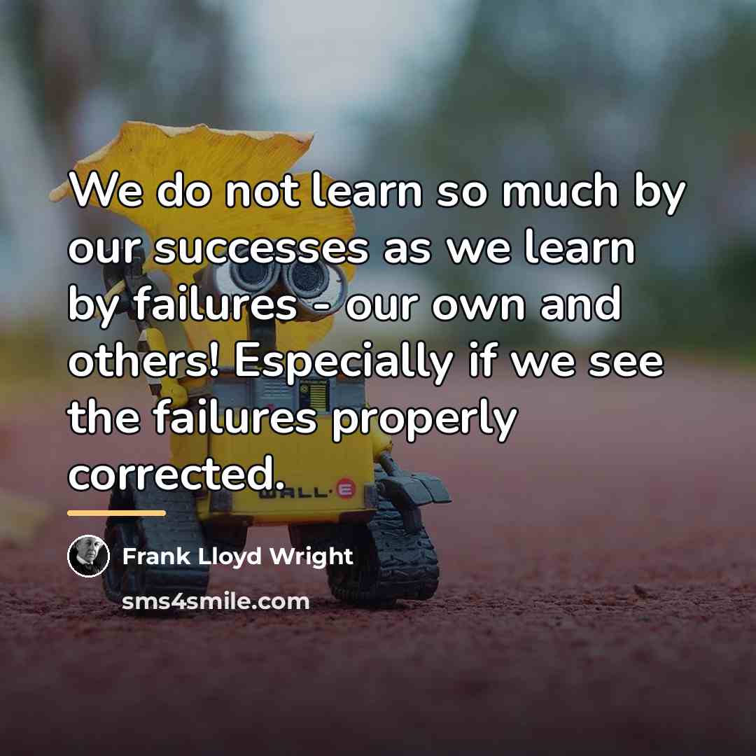 “We do not learn so much by our successes as…” quote by Frank Lloyd Wright