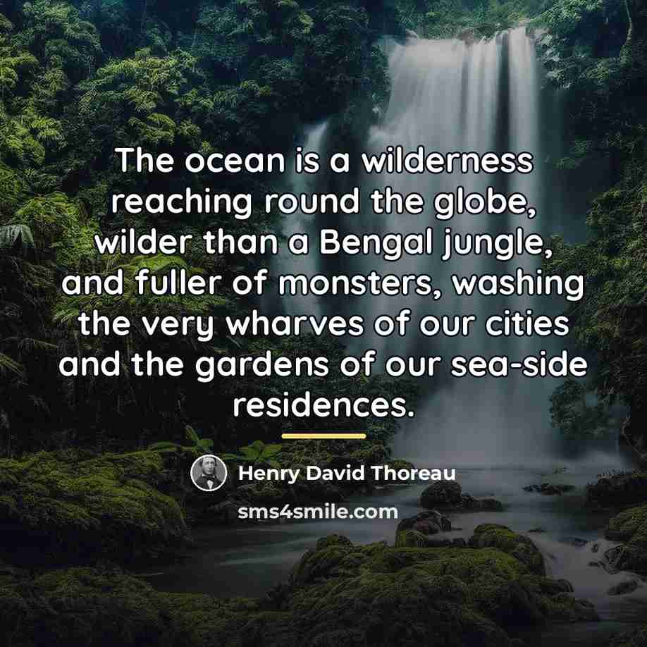“The ocean is a wilderness reaching round the globe, wilder…” quote by Henry David Thoreau