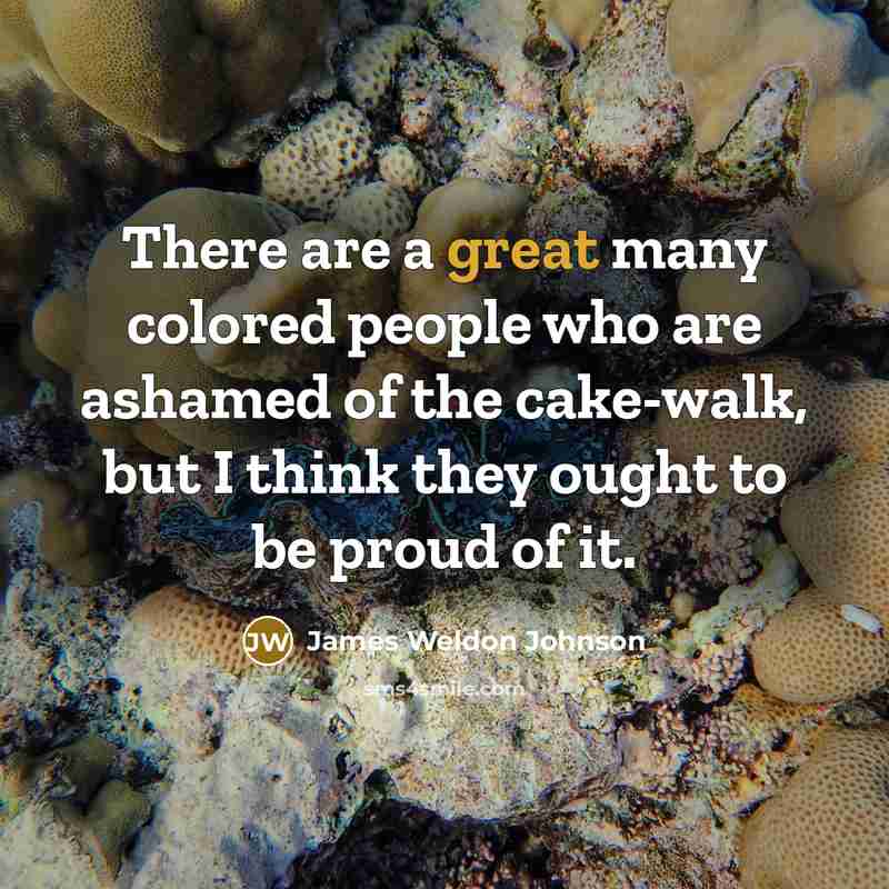 “There are a great many colored people who are ashamed…” quote by James Weldon Johnson