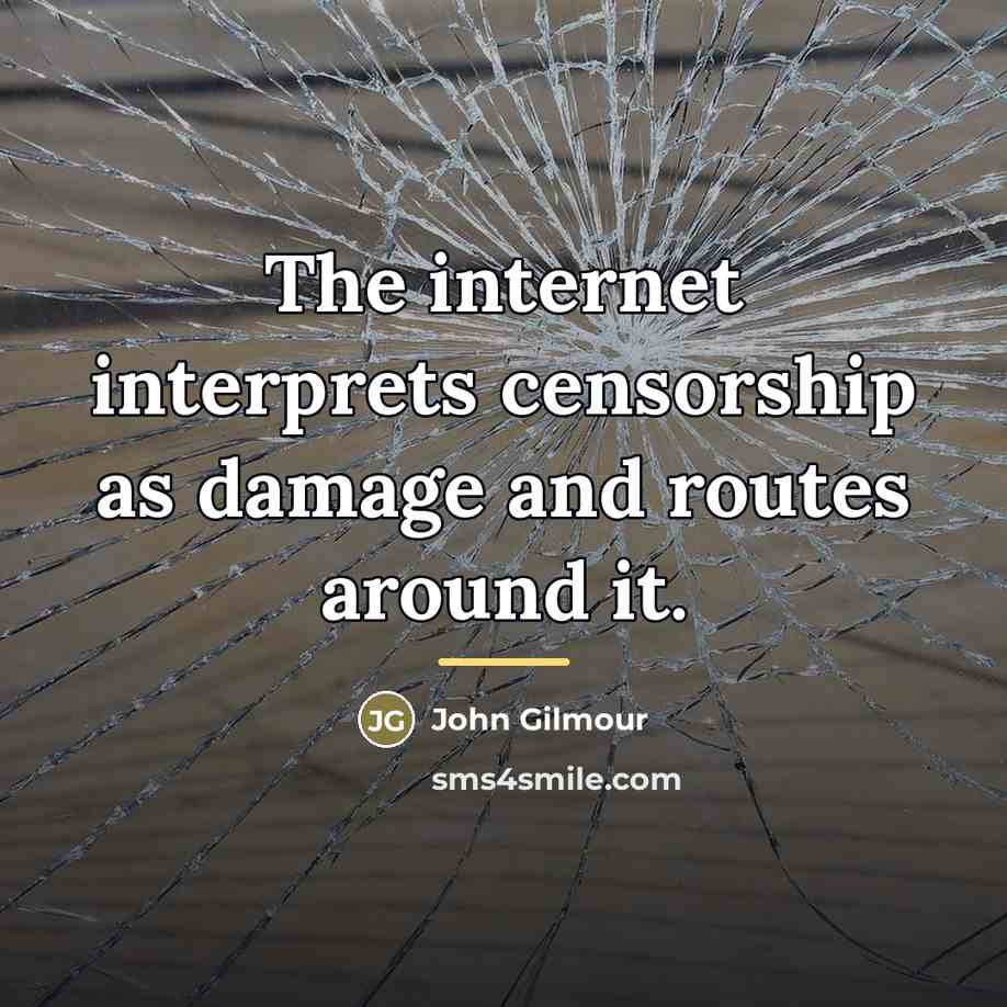 “The internet interprets censorship as damage and routes around it.…” quote by Anonymous