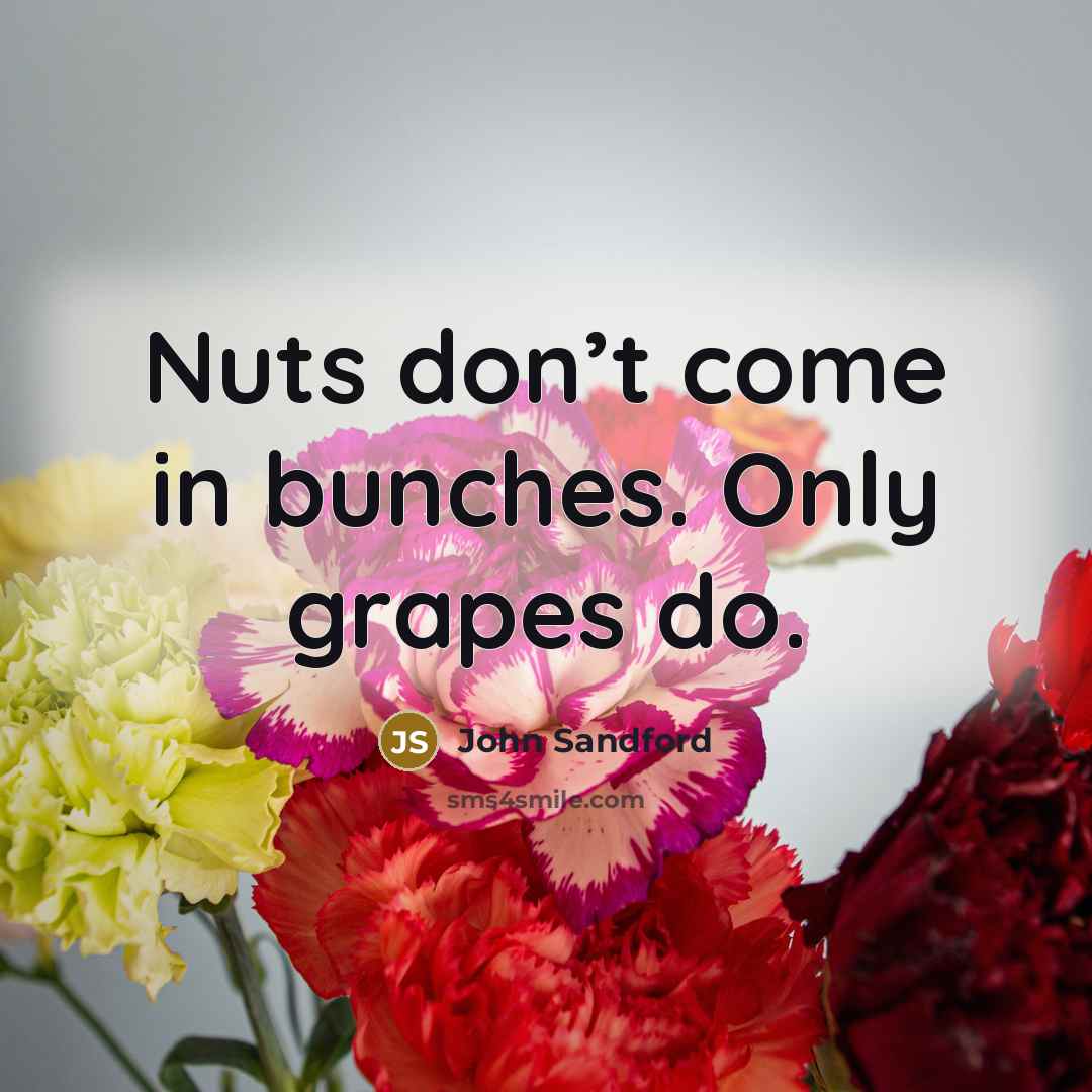 “Nuts don’t come in bunches. Only grapes do.…” quote by John Sandford