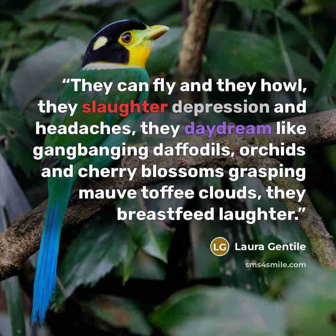 “They can fly and they howl, they slaughter depression and headaches, they daydream like gangbanging daffodils, orchids and cherry blossoms grasping mauve toffee clouds, they breastfeed laughter.” quote by Laura Gentile