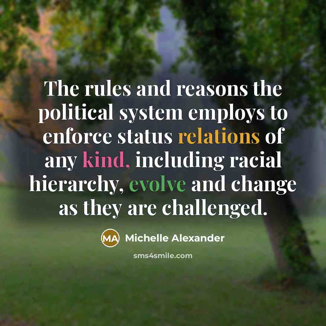 “The rules and reasons the political system employs to enforce…” quote by Michelle Alexander
