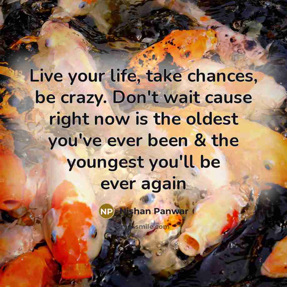 “Live your life, take chances, be crazy. Don't wait cause…” quote by Nishan Panwar