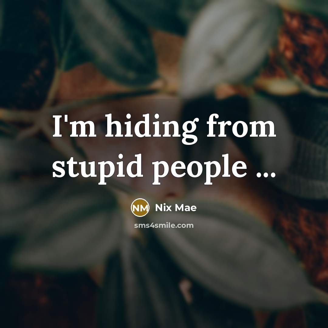 “I'm hiding from stupid people ...…” quote by Nix Mae