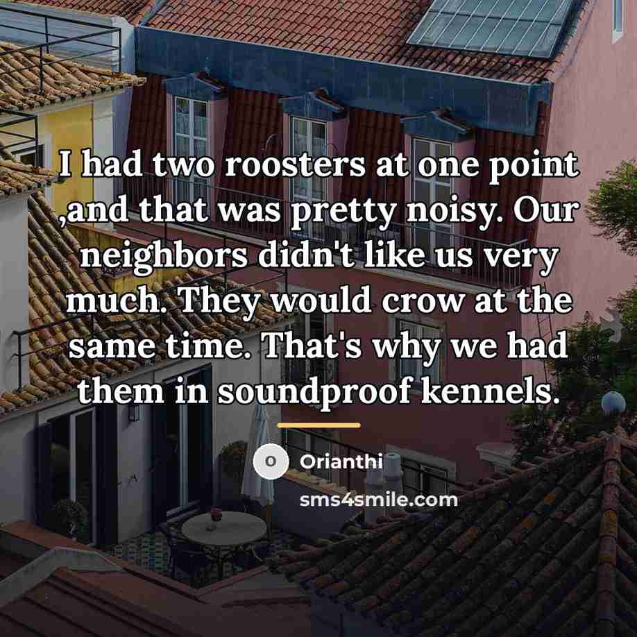 “I had two roosters at one point ,and that was…” quote by Orianthi