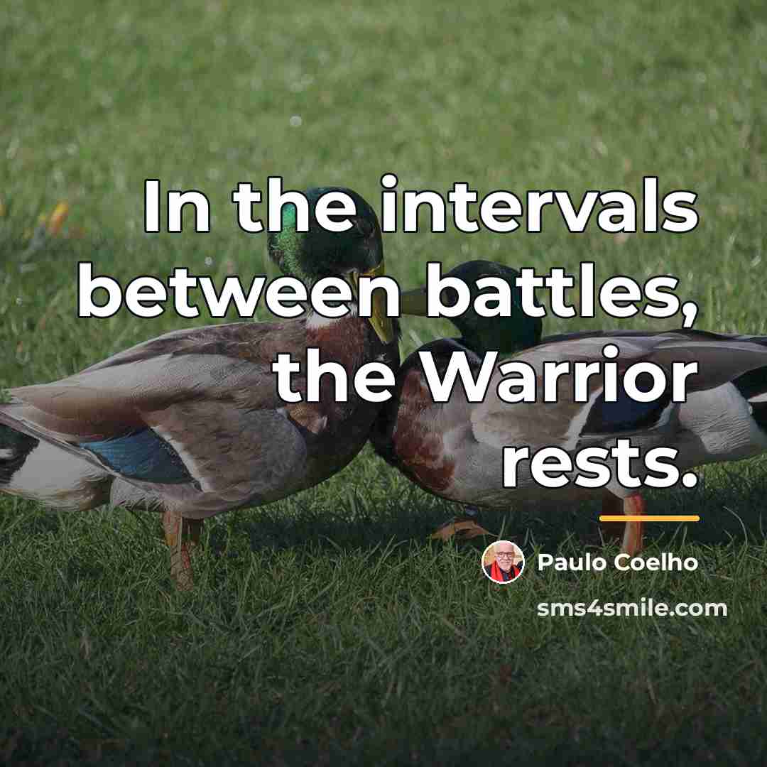 “In the intervals between battles, the Warrior rests.…” quote by Paulo Coelho