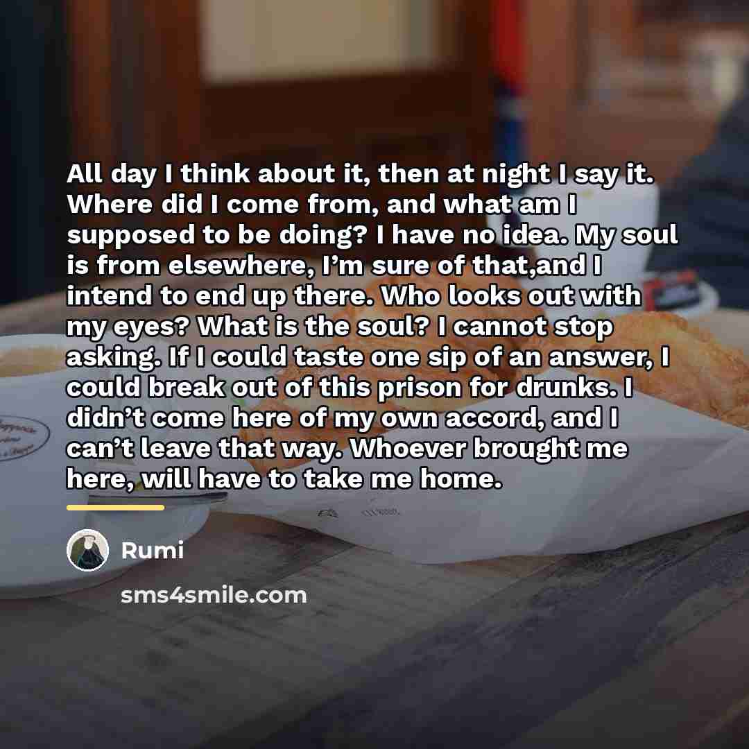 “All day I think about it, then at night I…” quote by Rumi