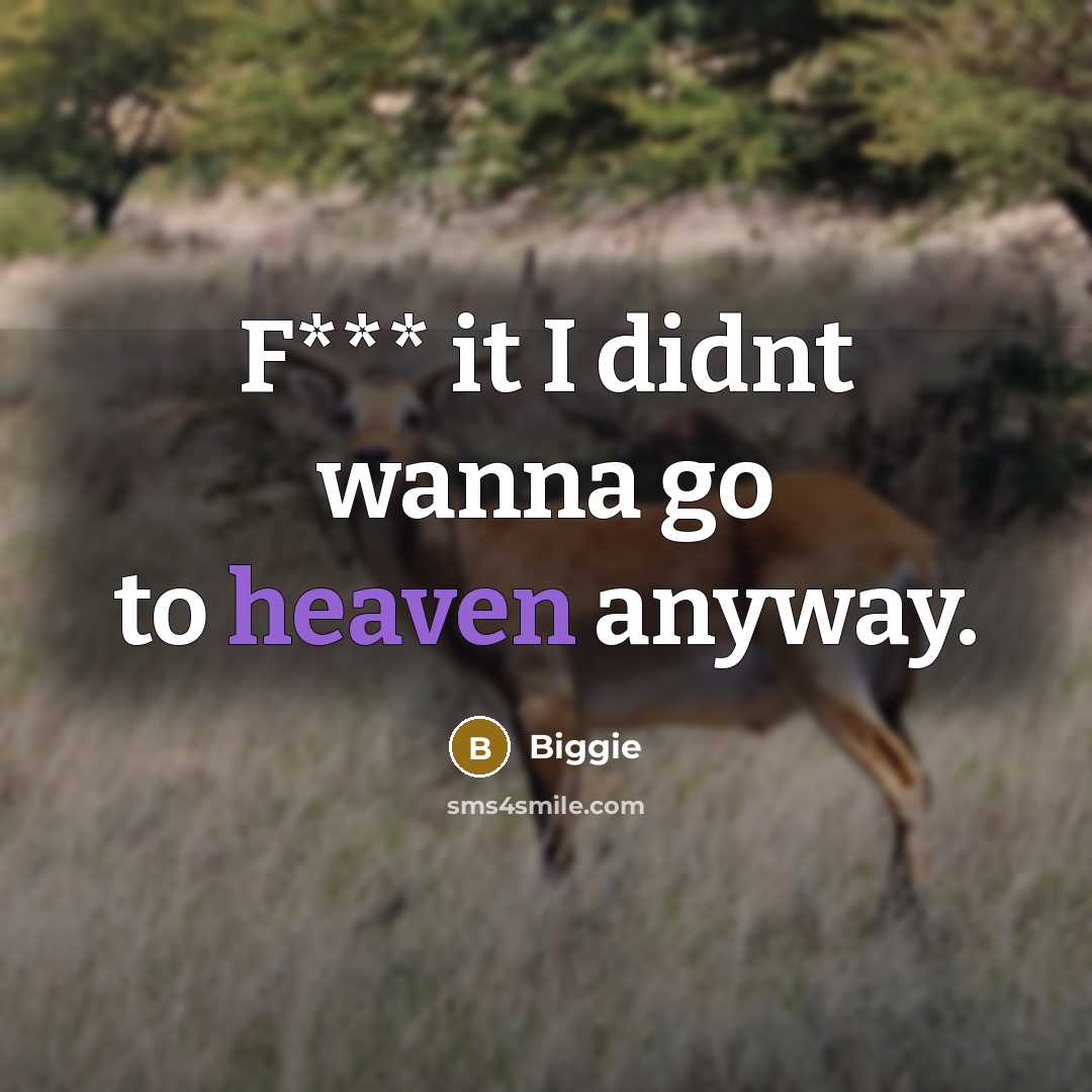 “F*** it I didnt wanna go to heaven anyway.” quote by Biggie