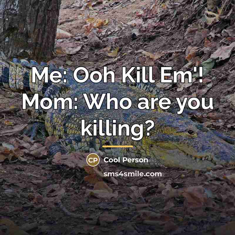 “Me: Ooh Kill Em'! Mom: Who are you killing?…” quote by Cool Person