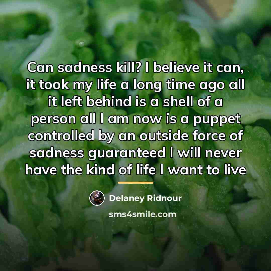 “Can sadness kill? I believe it can, it took my…” quote by Delaney Ridnour