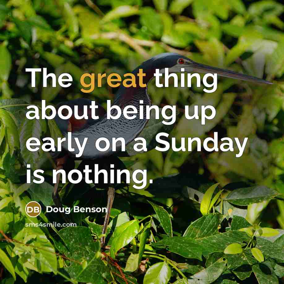 “The great thing about being up early on a Sunday is nothing.” quote by Doug Benson