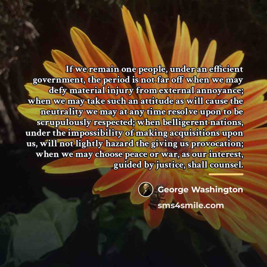 “If we remain one people, under an efficient government, the…” quote by George Washington