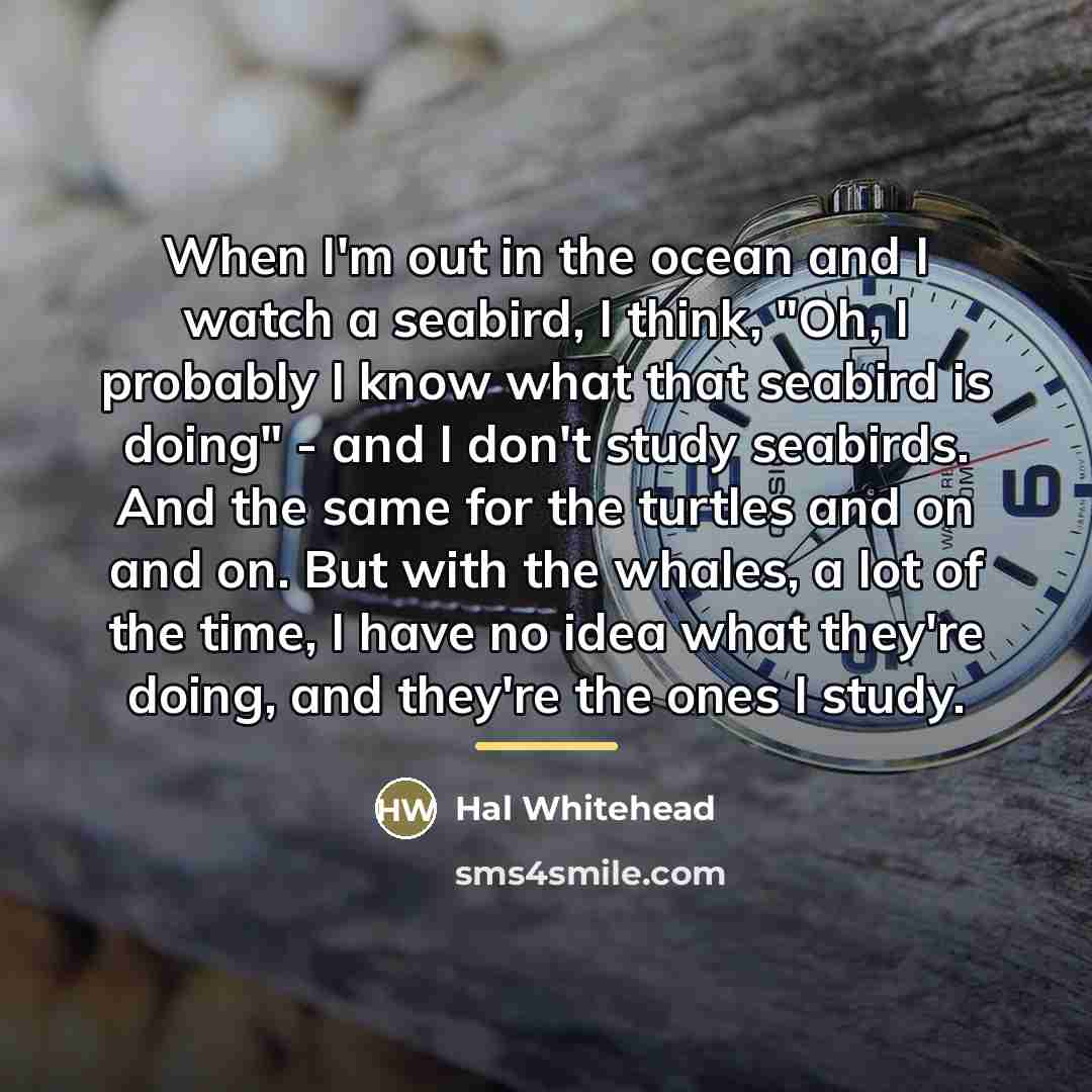 “When I'm out in the ocean and I watch a…” quote by Hal Whitehead