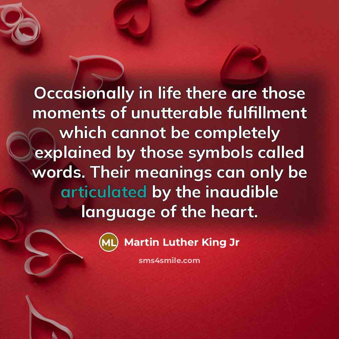 “Occasionally in life there are those moments of unutterable fulfillment…” quote by Martin Luther King Jr