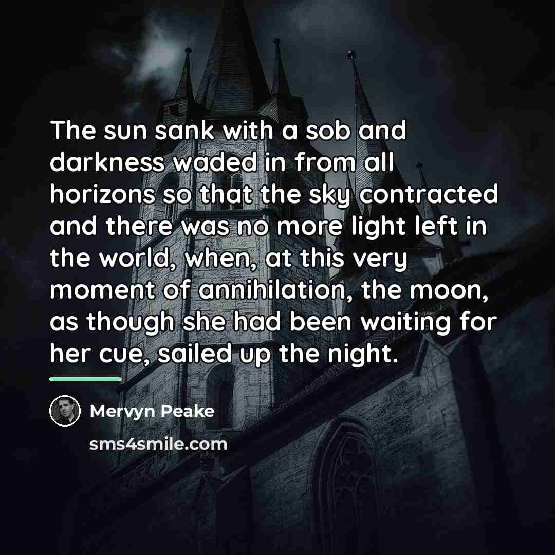 “The sun sank with a sob and darkness waded in…” quote by Mervyn Peake