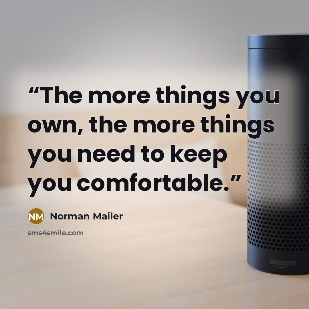 “The more things you own, the more things you need to keep you comfortable.” quote by Norman Mailer