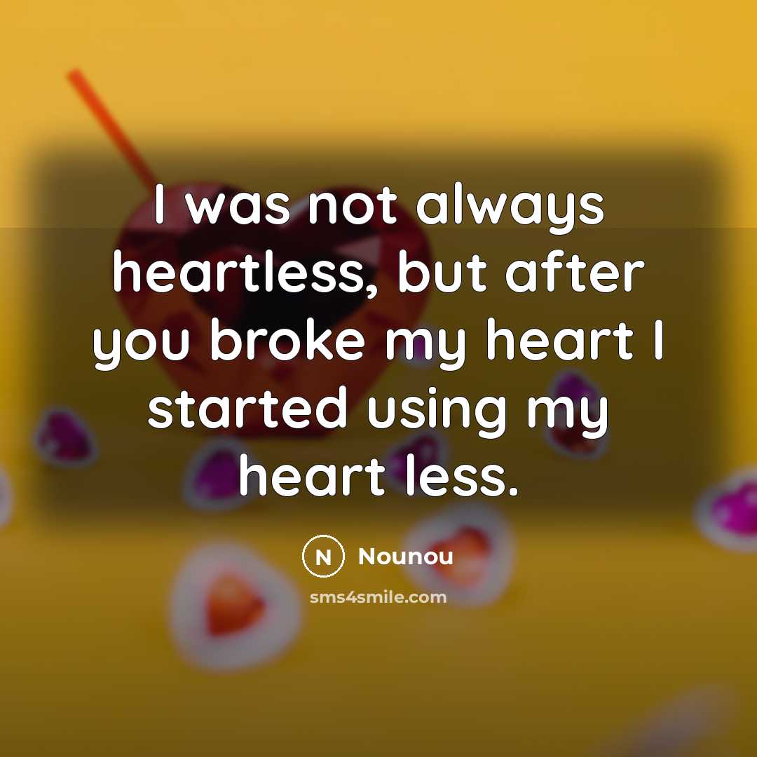 “I was not always heartless, but after you broke my…” quote by Nounou