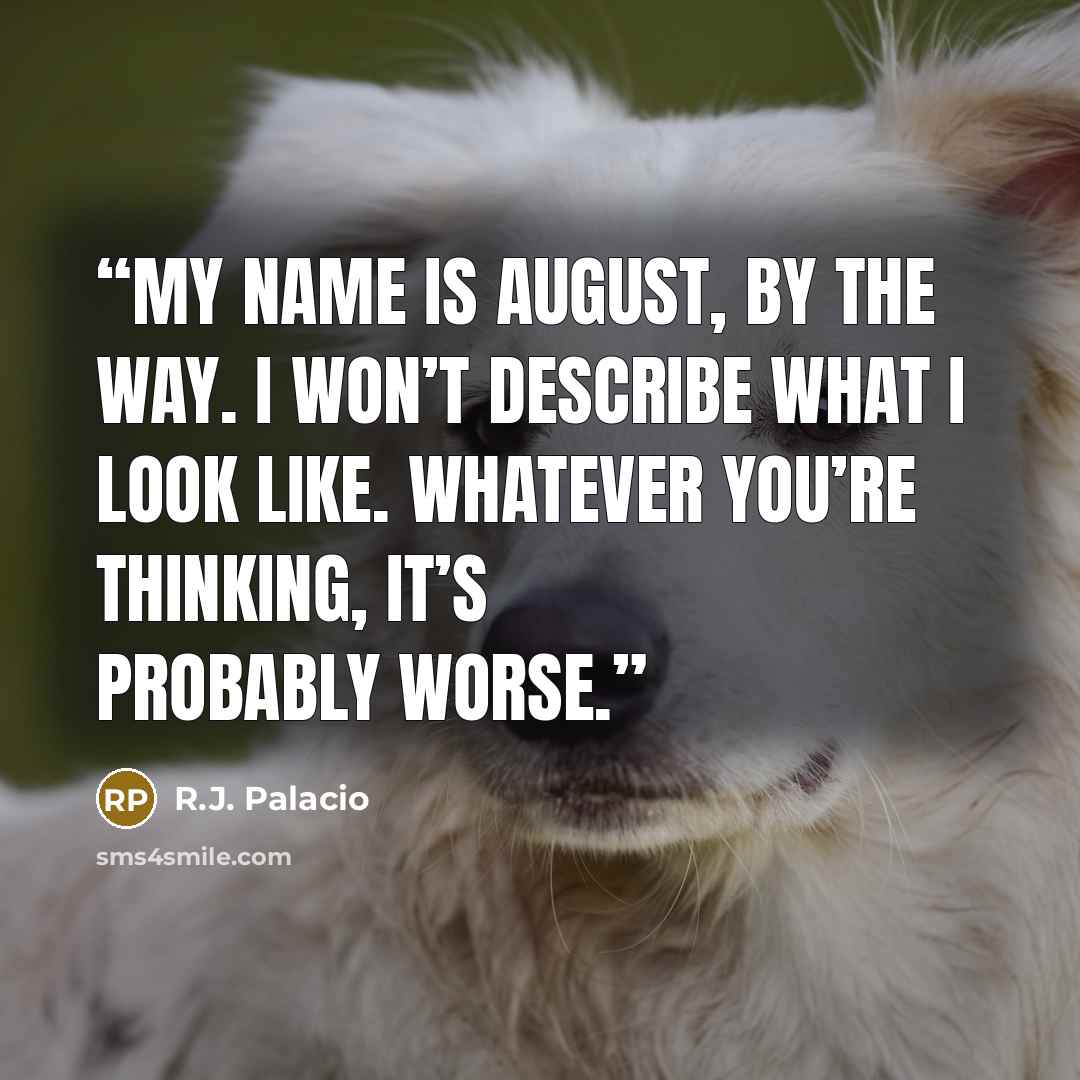 “My name is August, by the way. I won’t describe what I look like. Whatever you’re thinking, it’s probably worse.” quote by R.J. Palacio