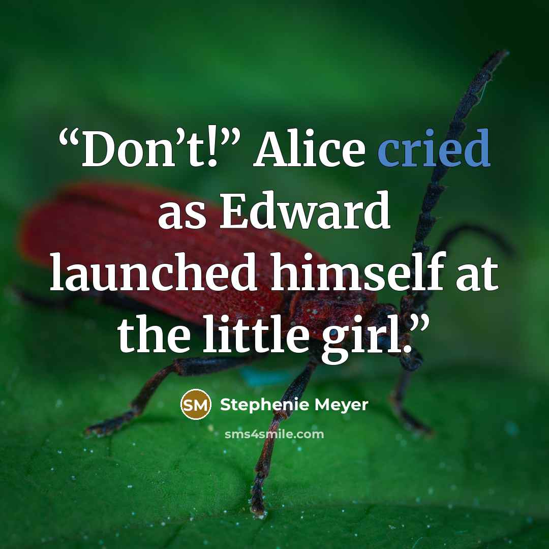 “Don’t!” Alice cried as Edward launched himself at the little girl.” quote by Stephenie Meyer