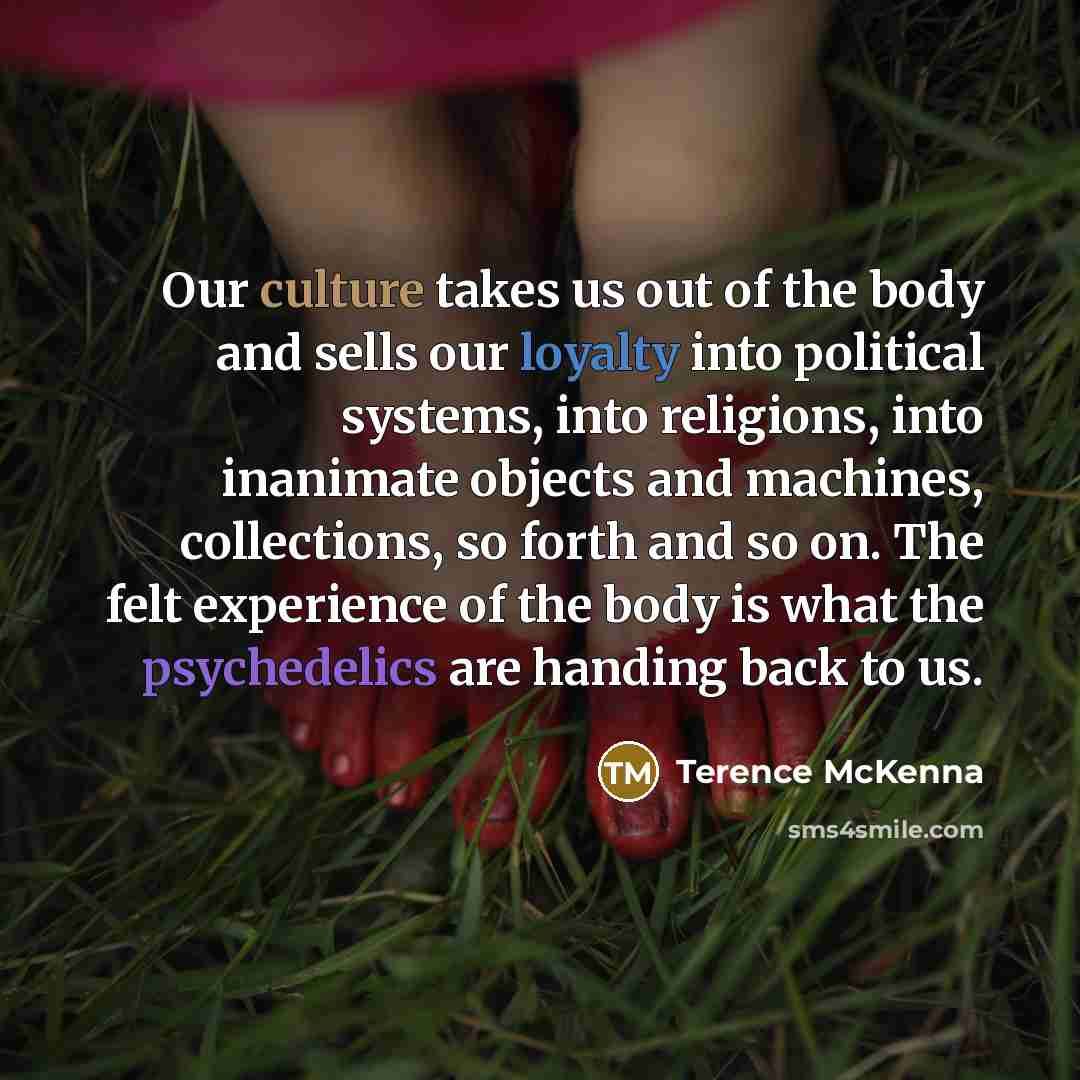 “Our culture takes us out of the body and sells…” quote by Terence McKenna