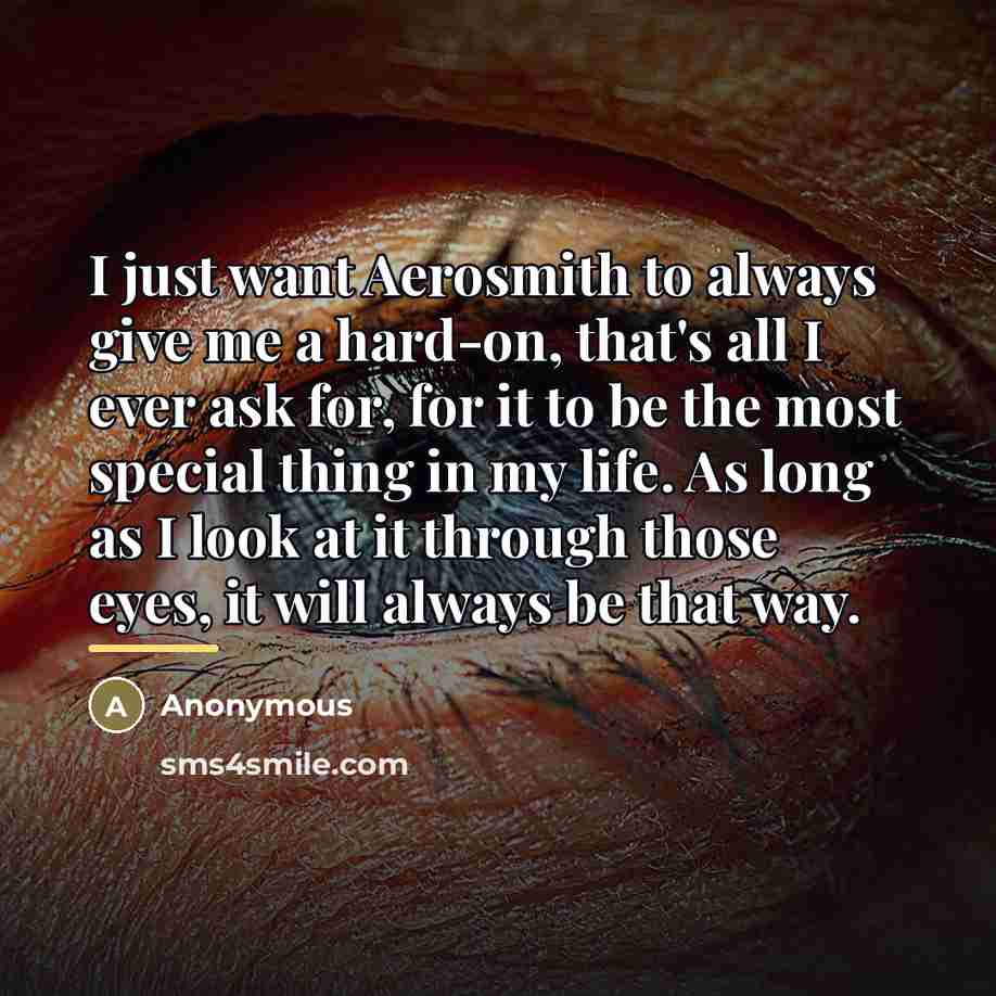 “I just want Aerosmith to always give me a hard-on,…” quote by Anonymous