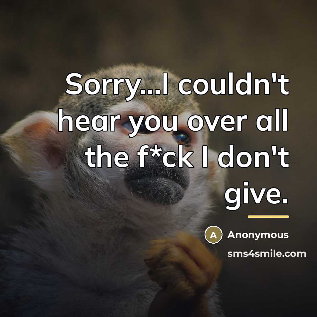 “Sorry...I couldn't hear you over all the f*ck I don't…” quote by Anonymous