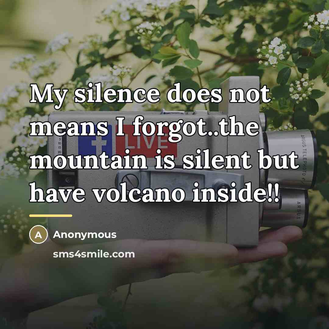 “My silence does not means I forgot..the mountain is silent…” quote by Anonymous