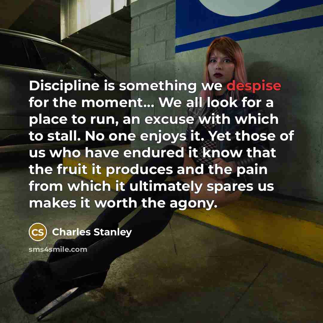 “Discipline is something we despise for the moment.... We all…” quote by Charles Stanley