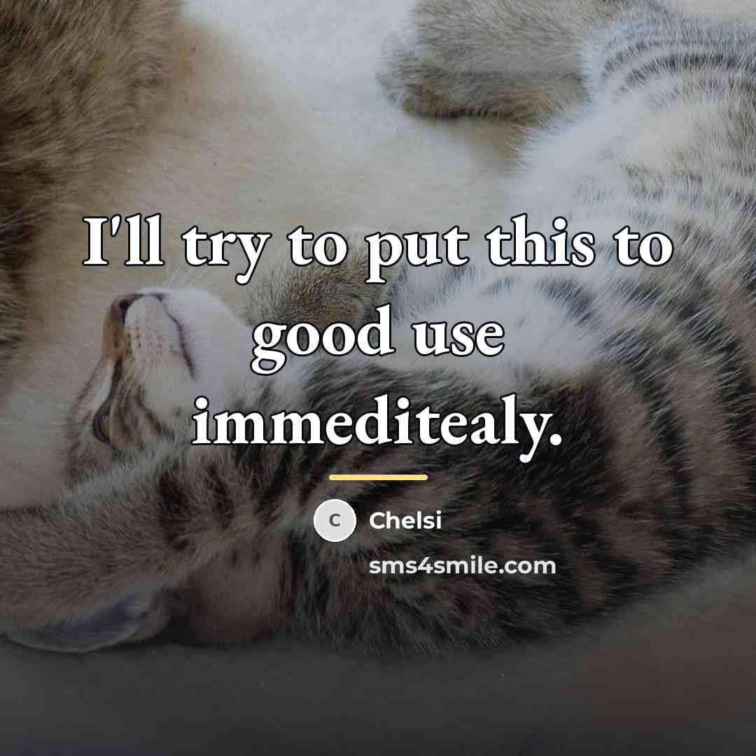 “I'll try to put this to good use immeditealy.…” quote by Chelsi