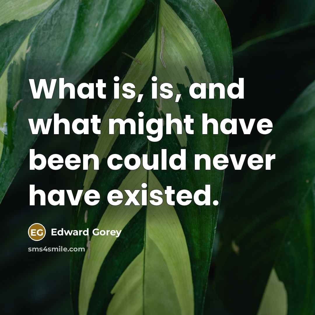 “What is, is, and what might have been could never…” quote by Edward Gorey