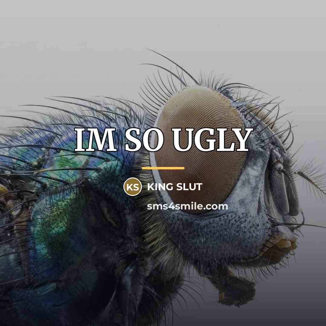 “IM SO UGLY…” quote by King Slut