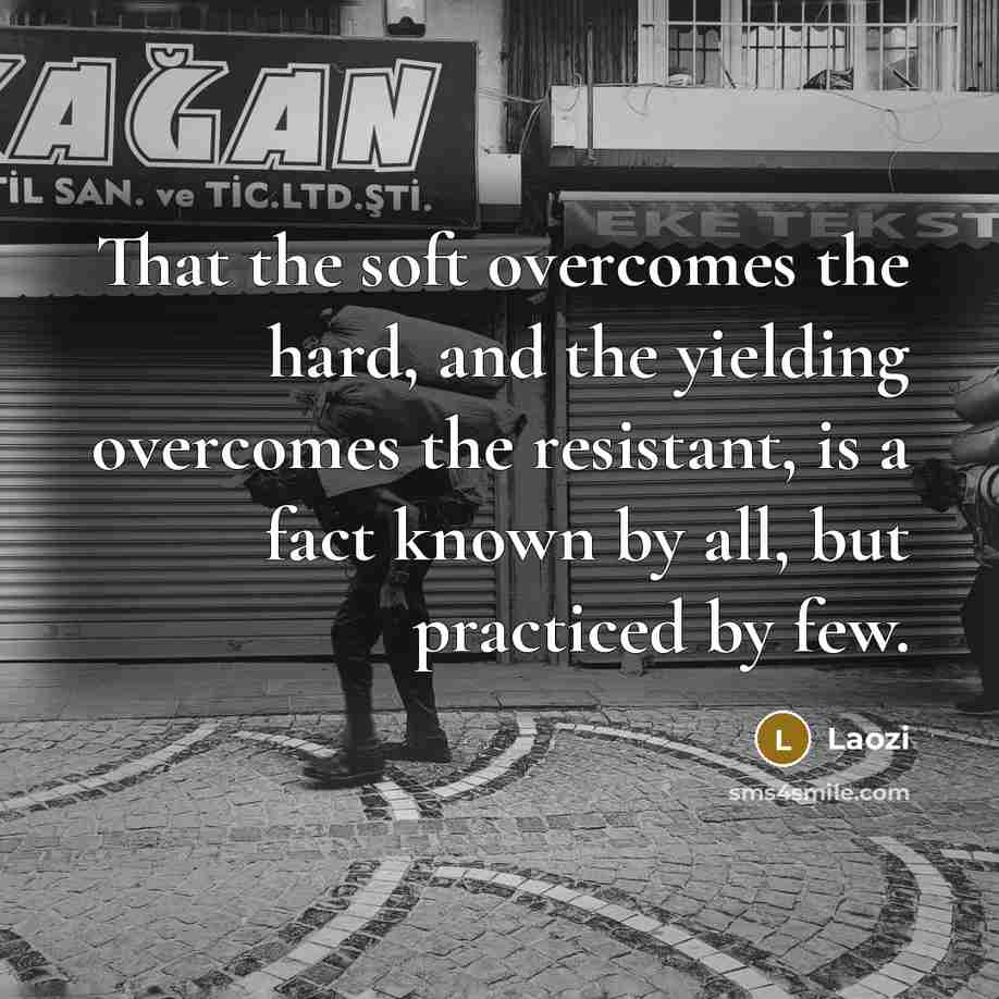 “That the soft overcomes the hard, and the yielding overcomes…” quote by Laozi