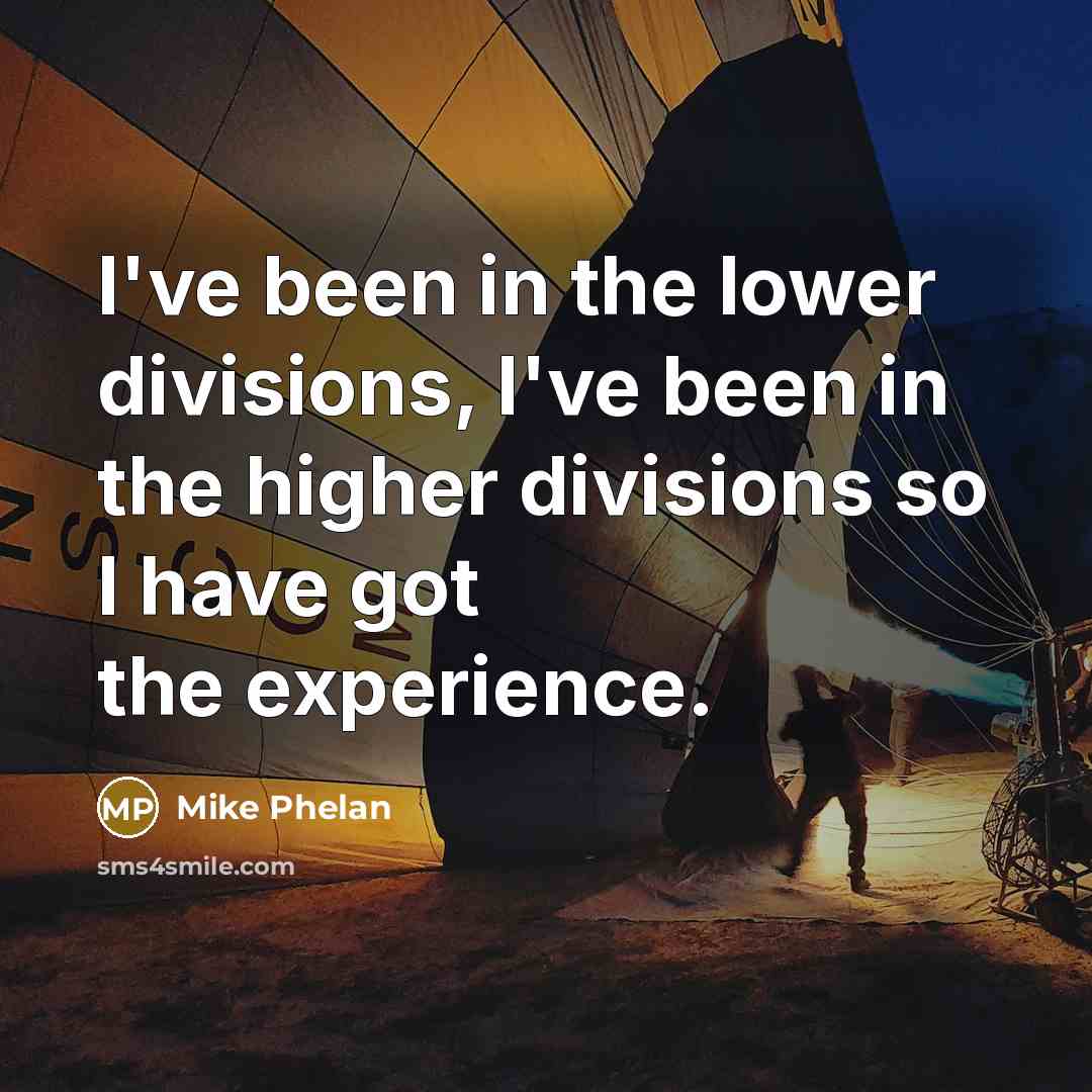 “I've been in the lower divisions, I've been in the…” quote by Mike Phelan