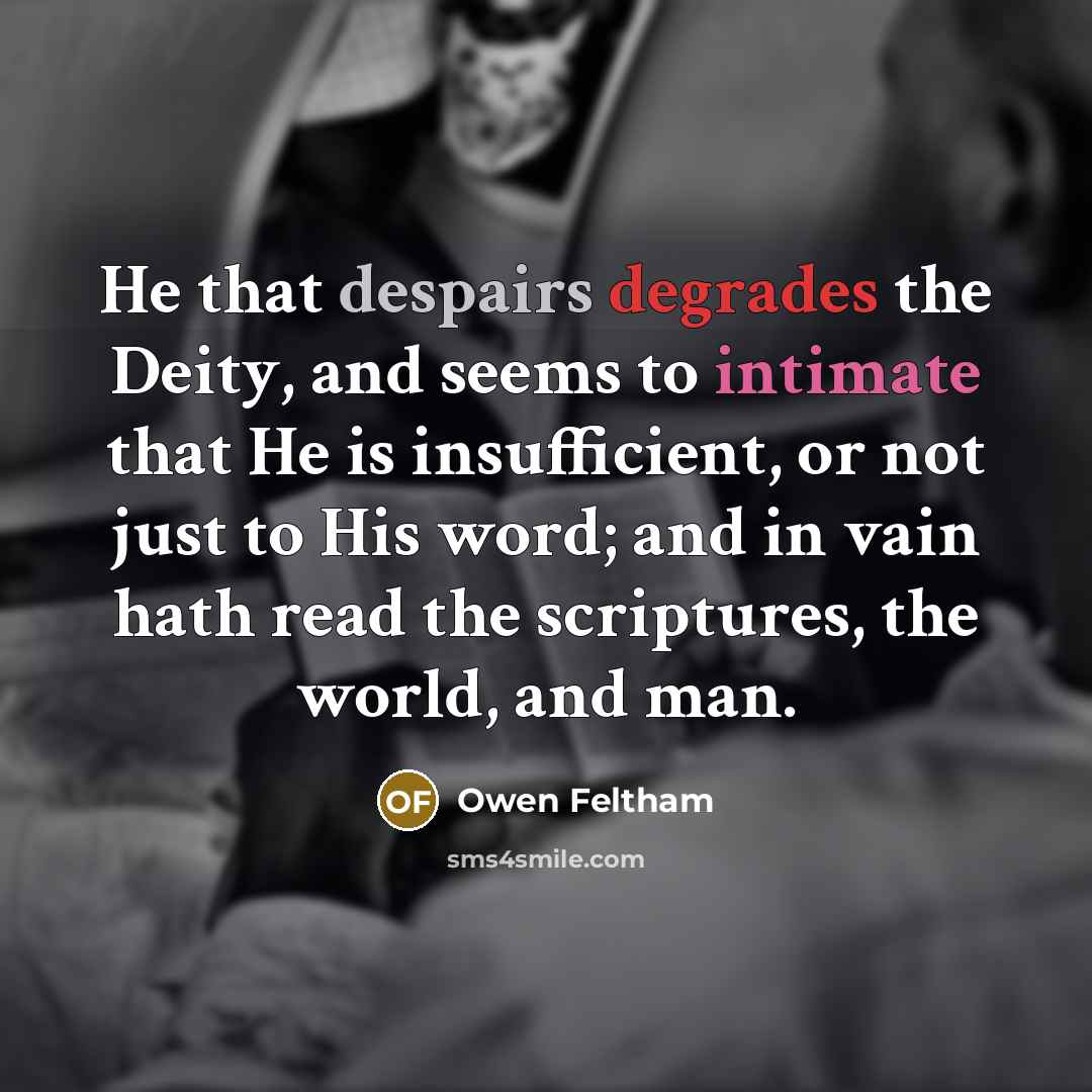 “He that despairs degrades the Deity, and seems to intimate…” quote by Owen Feltham