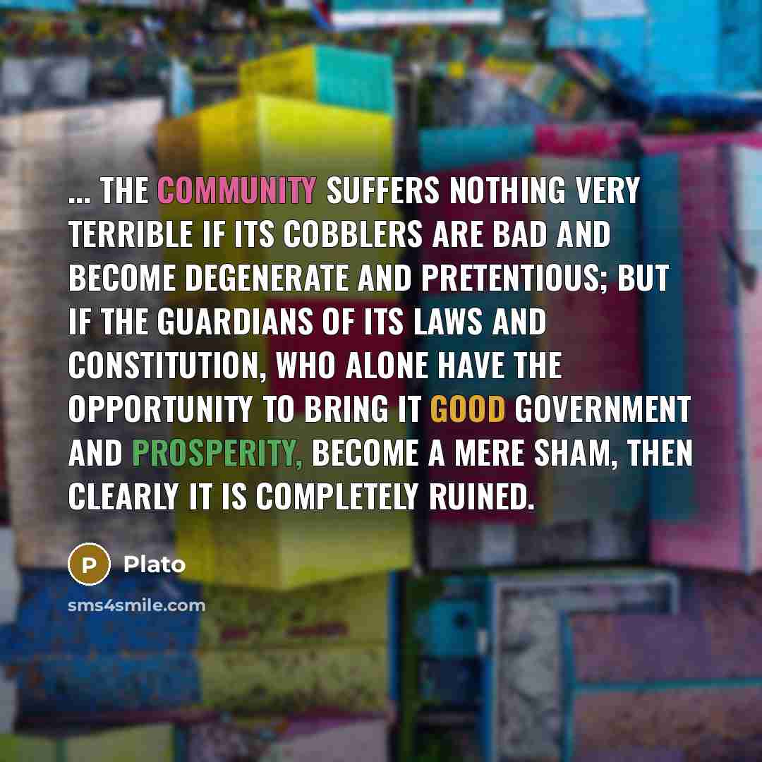 “... the community suffers nothing very terrible if its cobblers…” quote by Plato
