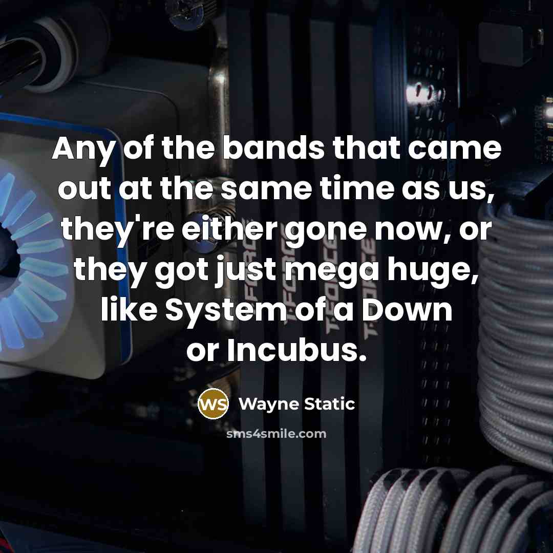 “Any of the bands that came out at the same…” quote by Wayne Static
