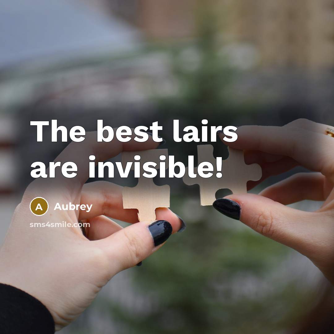 “The best lairs are invisible!…” quote by Aubrey