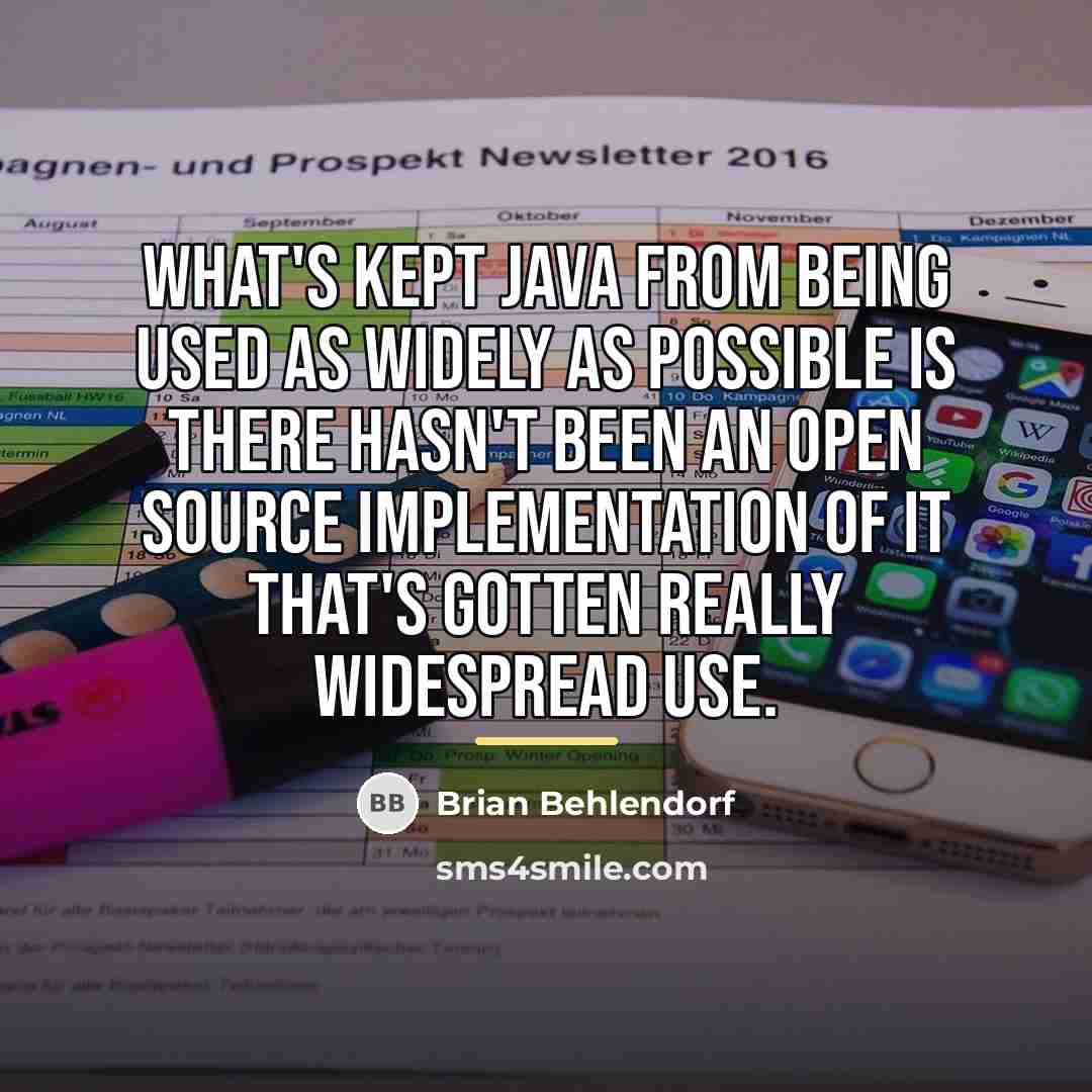 “What's kept Java from being used as widely as possible…” quote by Brian Behlendorf
