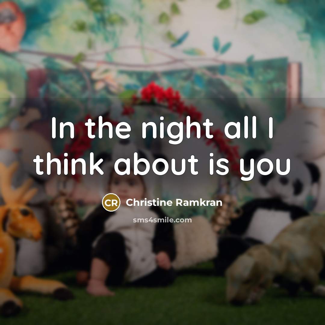 “In the night all I think about is you…” quote by Christine Ramkran