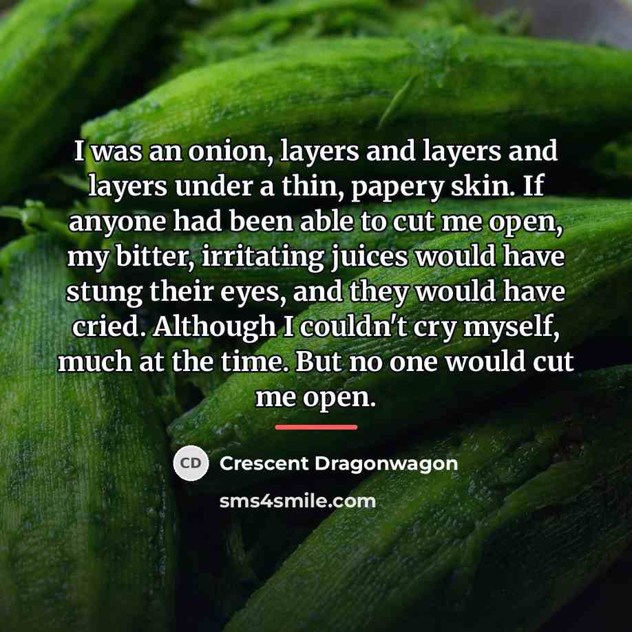 “I was an onion, layers and layers and layers under…” quote by Crescent Dragonwagon