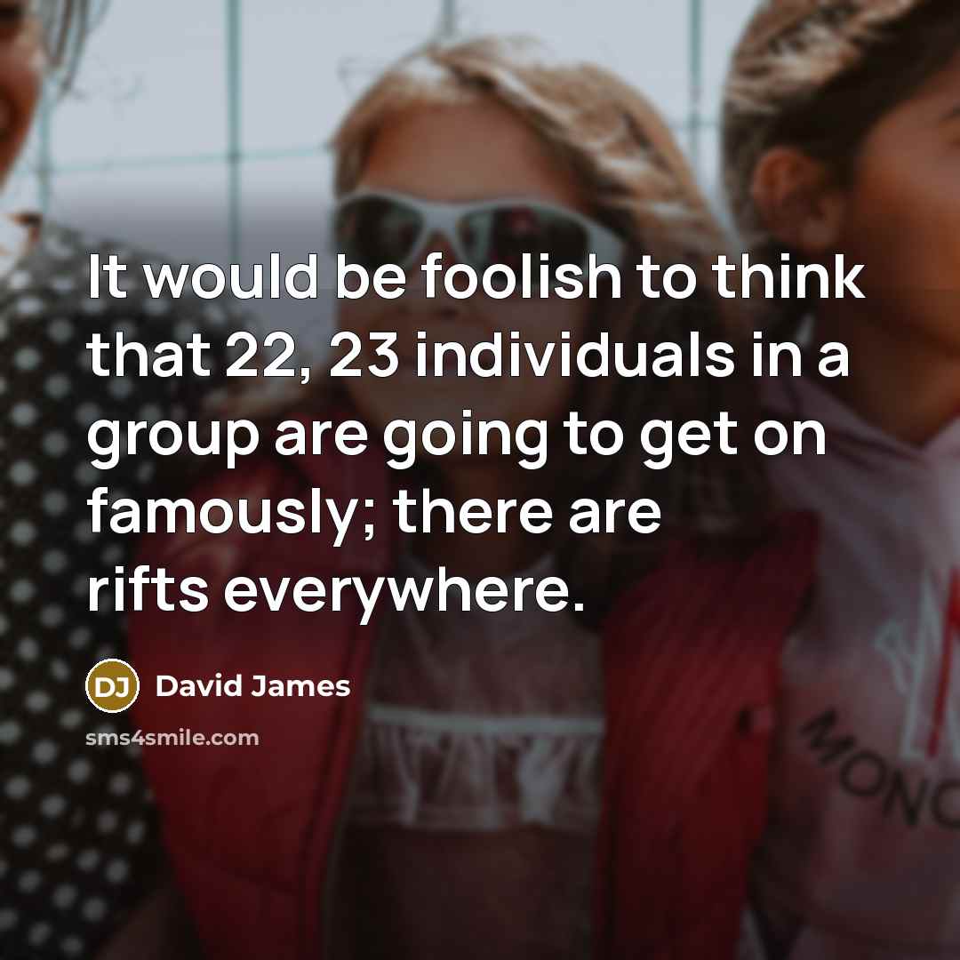 “It would be foolish to think that 22, 23 individuals…” quote by David James