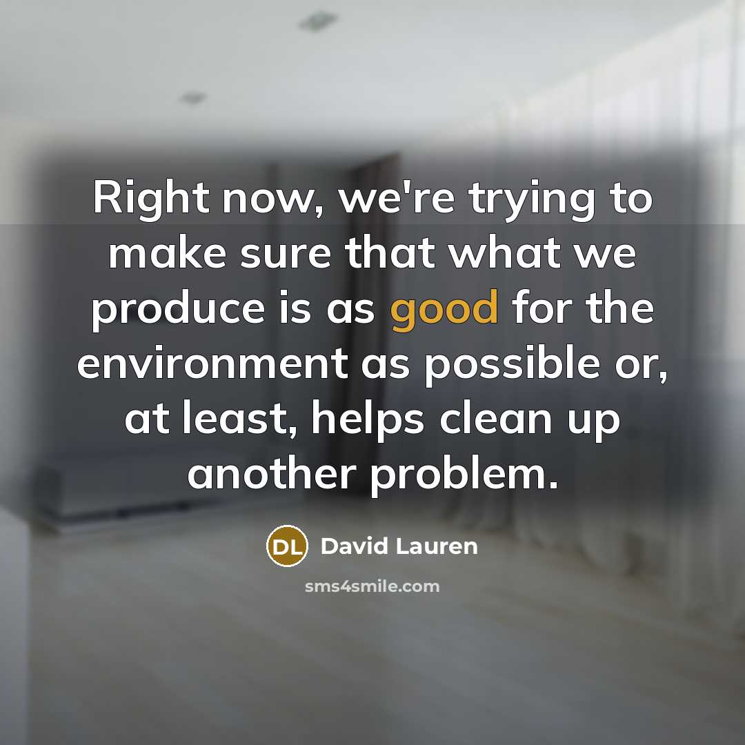 “Right now, we're trying to make sure that what we…” quote by David Lauren