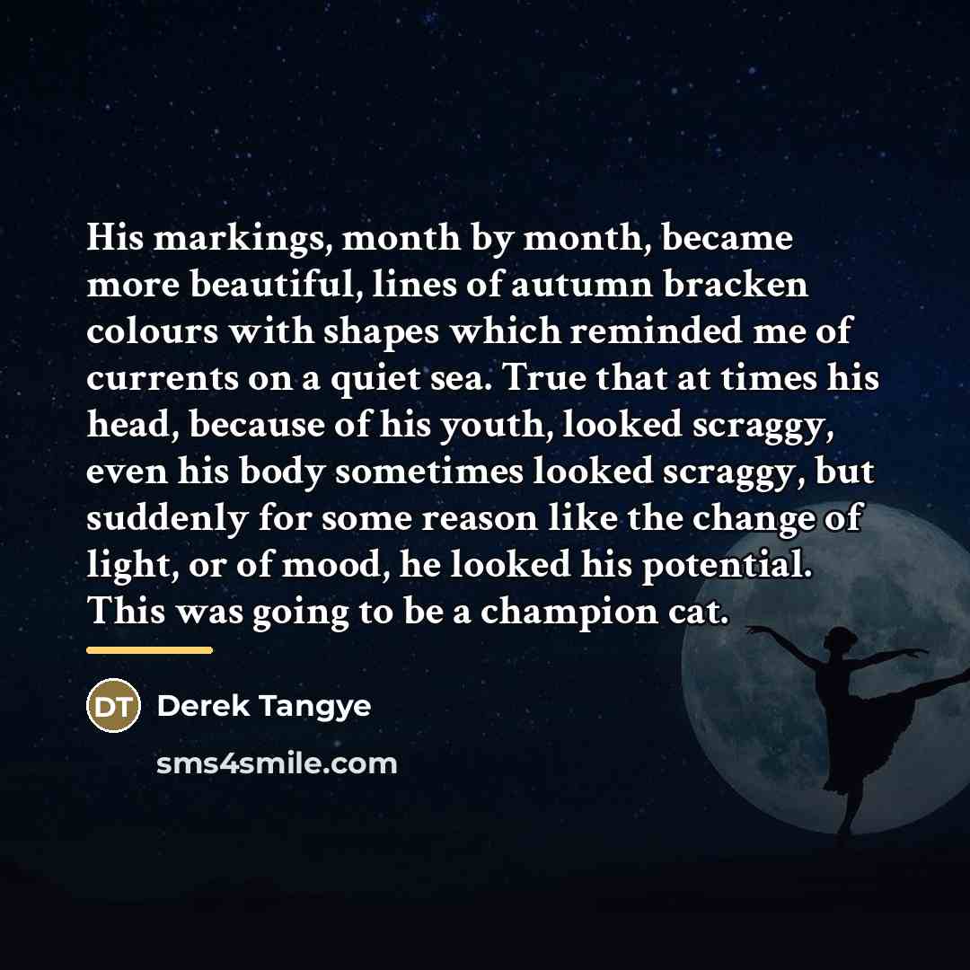 “His markings, month by month, became more beautiful, lines of…” quote by Derek Tangye
