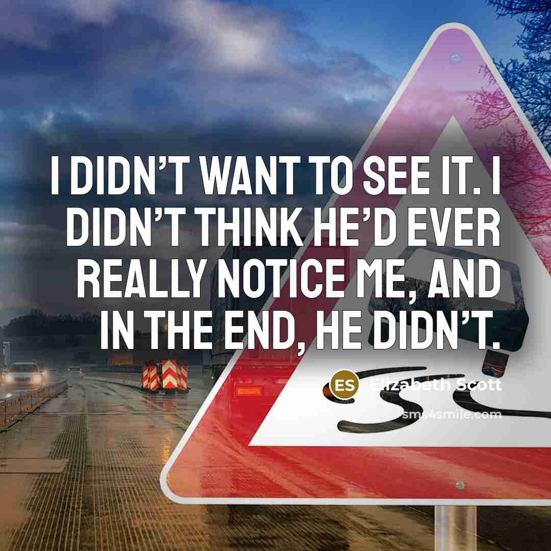 “I didn’t want to see it. I didn’t think he’d…” quote by Elizabeth Scott
