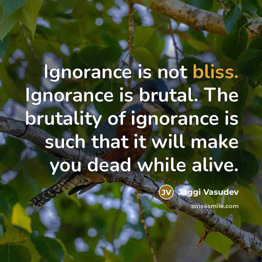 “Ignorance is not bliss. Ignorance is brutal. The brutality of…” quote by Jaggi Vasudev