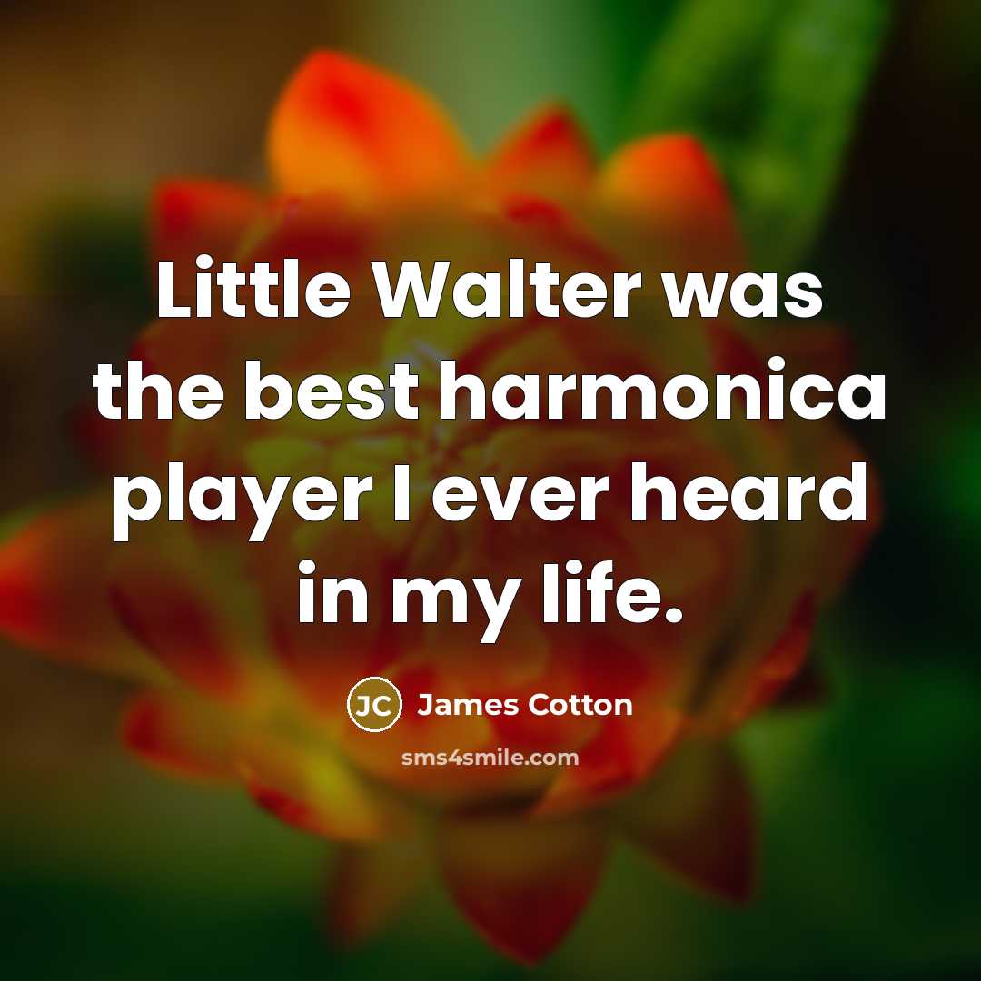 “Little Walter was the best harmonica player I ever heard…” quote by James Cotton