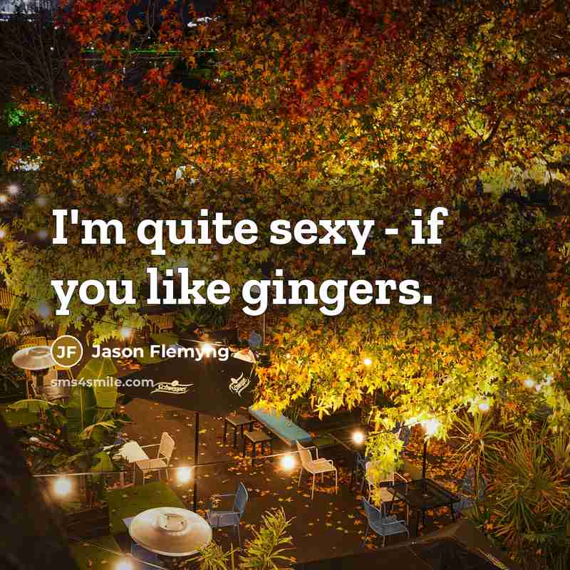 “I'm quite sexy - if you like gingers.…” quote by Jason Flemyng